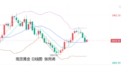 张尧浠：黄金仍有继续回落预期 原油维持持稳偏强