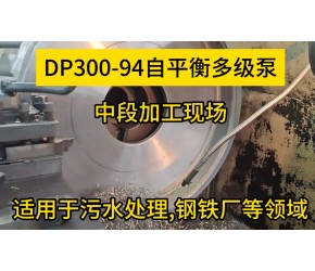 适用于污水处理,石油化工及钢铁厂等领域,DP300-94自平衡多级泵中段加工